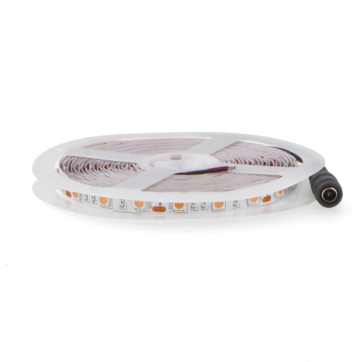 Tira LED 12V DC SMD5050 IP20 Purple 14W/m - 5 Metros