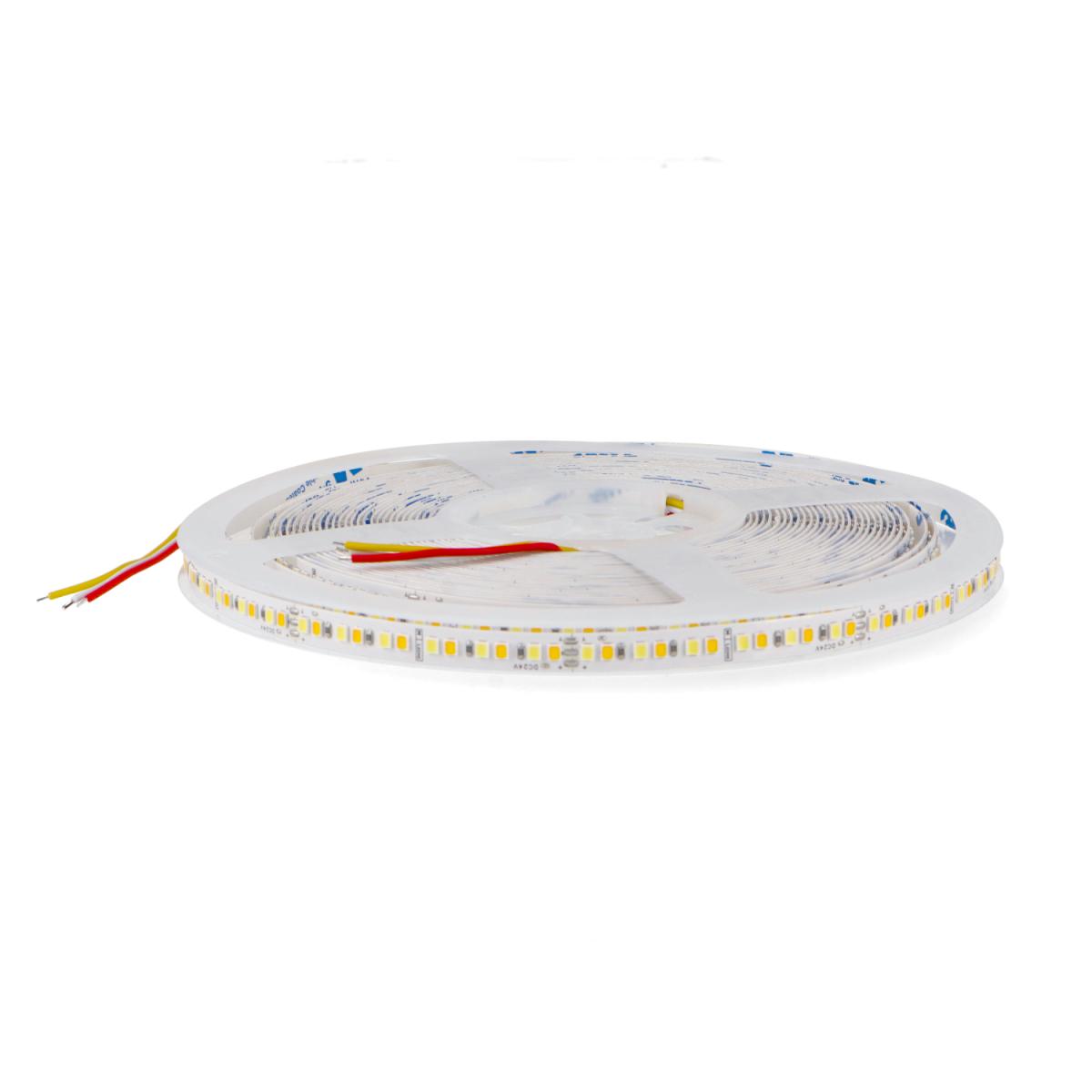 Tira Led 24V Dc Smd2835 Ziadna Ip20 CCT 12W/m - 10 Metros
