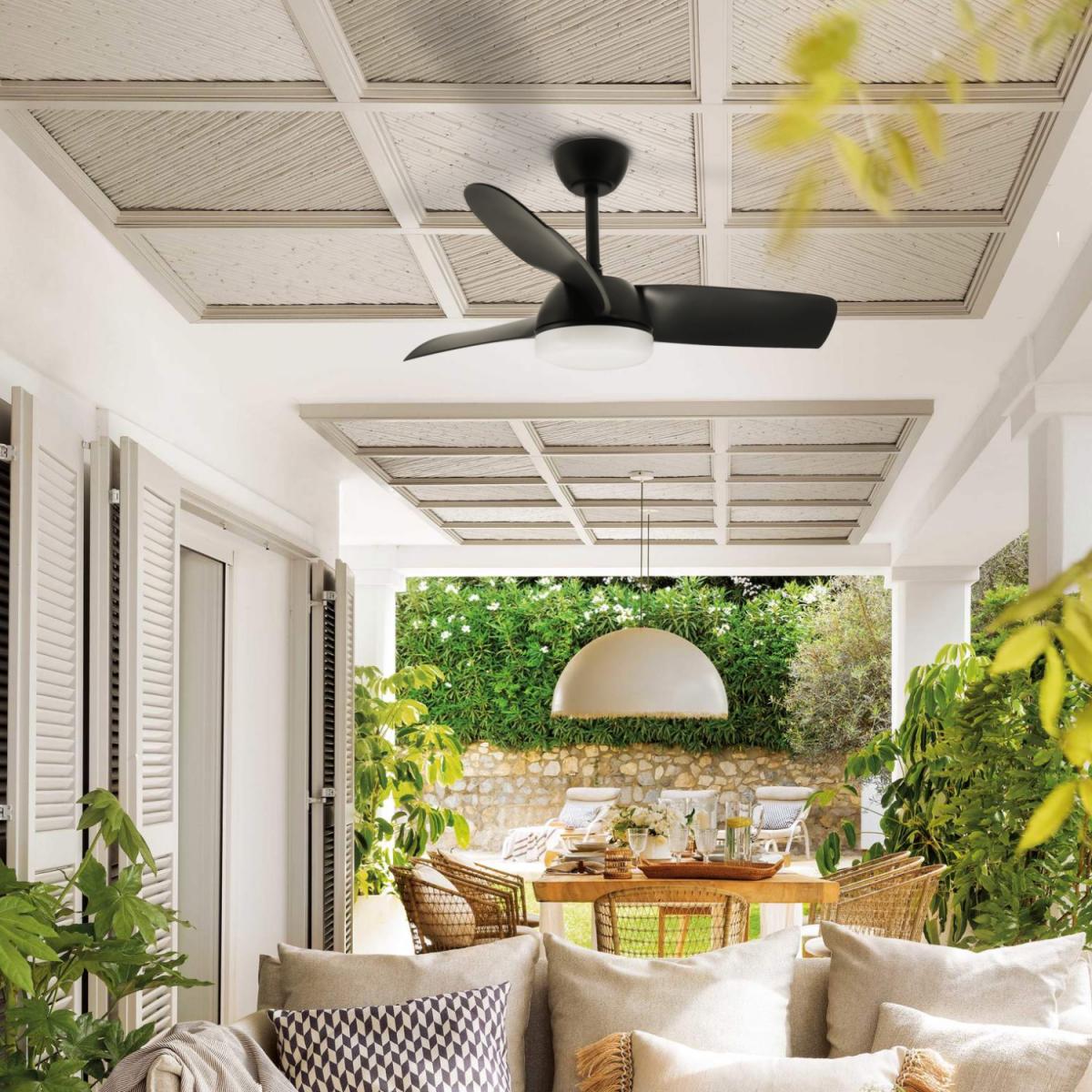 Ventilador de techo LED Black Face